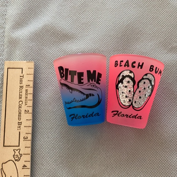 Pair of Florida Shot Glasses - Picture 5 of 5